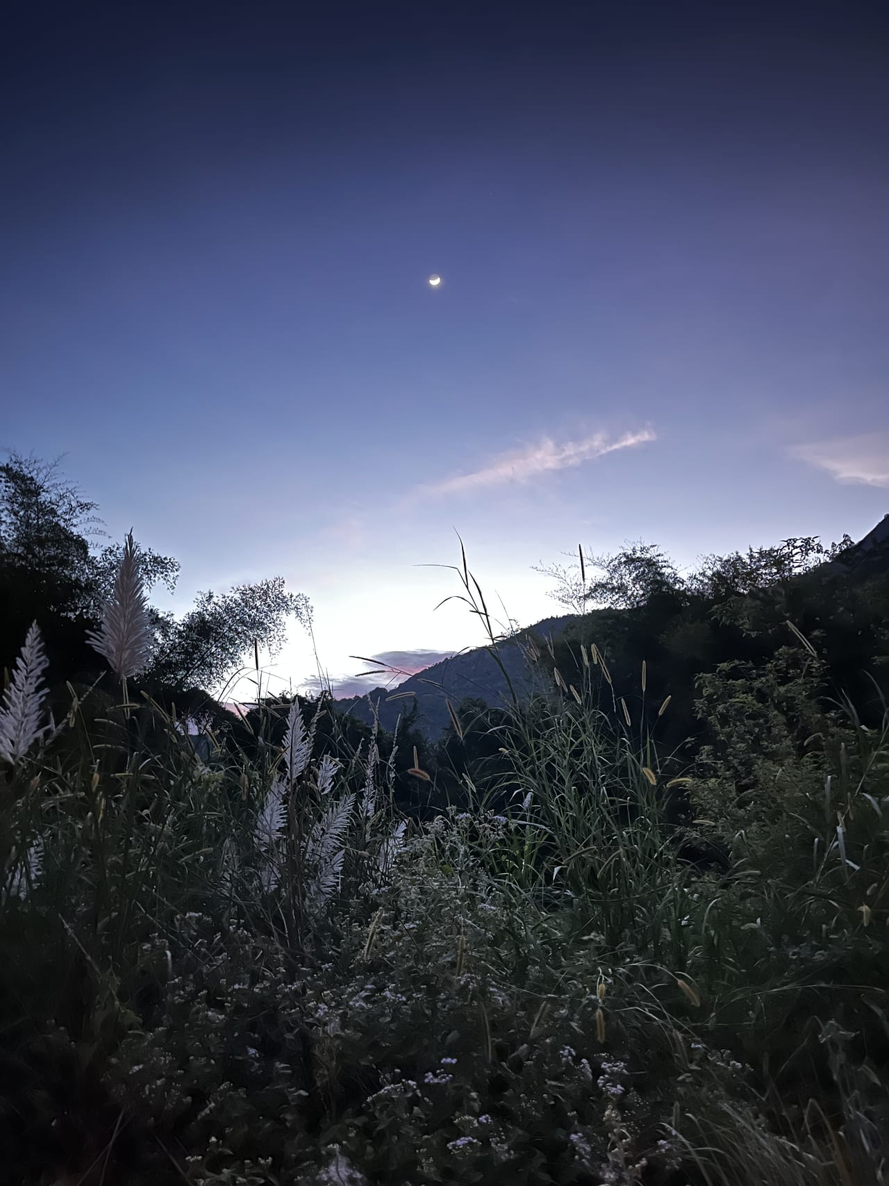 The moon rising over a dark ridgeline.
