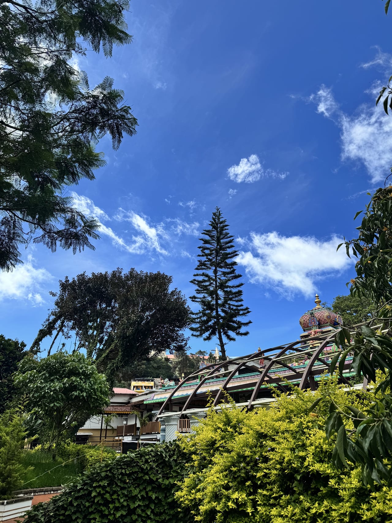 A temple gopuram against a bright sky, framed by trees.